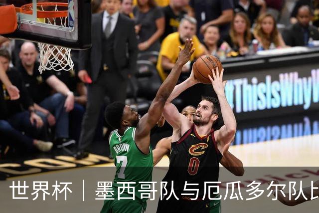 世界杯｜墨西哥队与厄瓜多尔队比赛因雷雨延迟